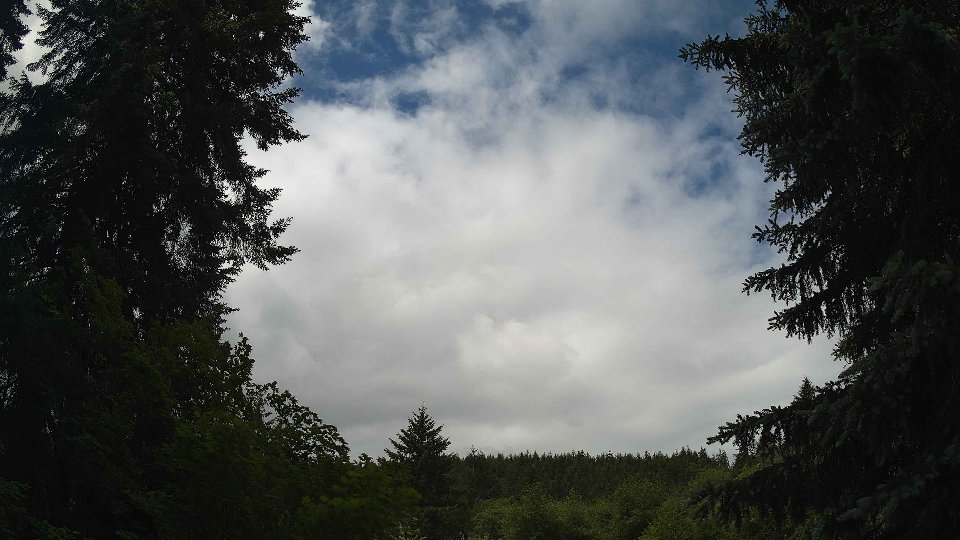 Pacific Northwest skyline timelapse frame from Jun 10th, 2026 at 11:00 AM