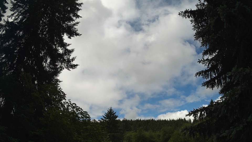 Pacific Northwest skyline timelapse frame from Jun 10th, 2026 at 11:15 AM