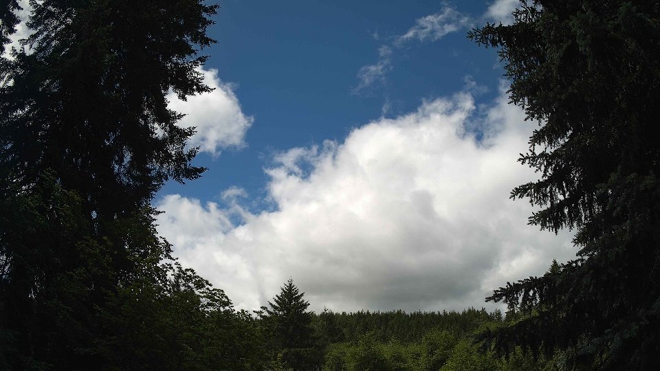 Pacific Northwest skyline timelapse frame from Jun 10th, 2026 at 11:30 AM