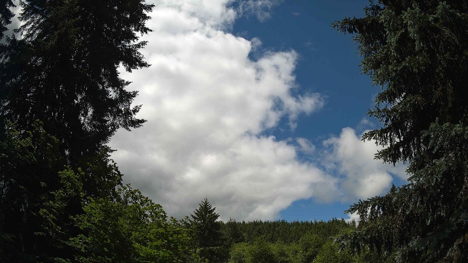 Pacific Northwest skyline timelapse frame from Jun 10th, 2026 at 11:45 AM
