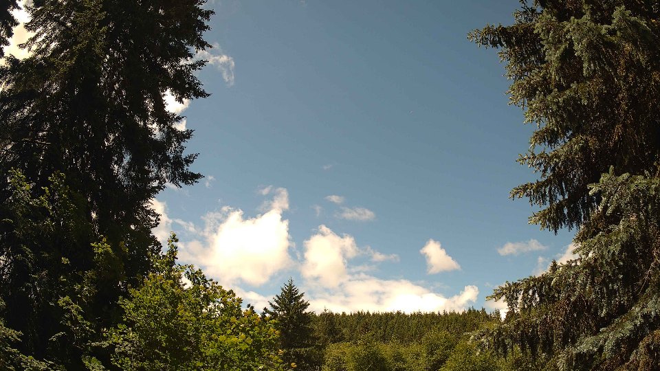 Pacific Northwest skyline timelapse frame from Jun 10th, 2026 at 12:00 PM