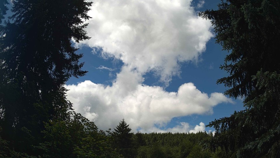 Pacific Northwest skyline timelapse frame from Jun 10th, 2026 at 12:15 PM