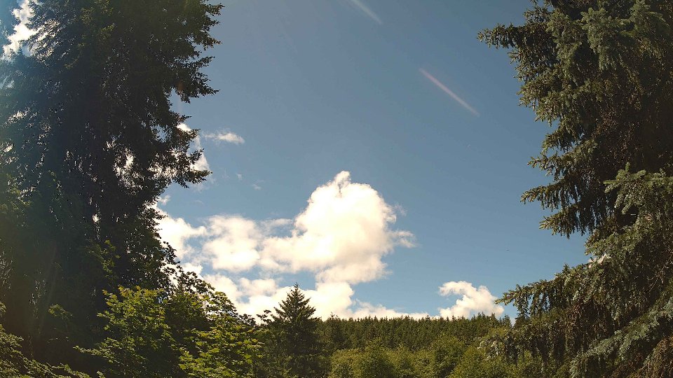 Pacific Northwest skyline timelapse frame from Jun 10th, 2026 at 12:30 PM