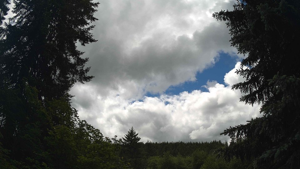 Pacific Northwest skyline timelapse frame from Jun 10th, 2026 at 1:30 PM