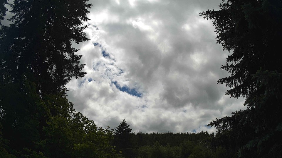 Pacific Northwest skyline timelapse frame from Jun 10th, 2026 at 2:00 PM