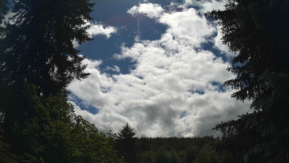 Pacific Northwest skyline timelapse frame from Jun 10th, 2026 at 2:30 PM