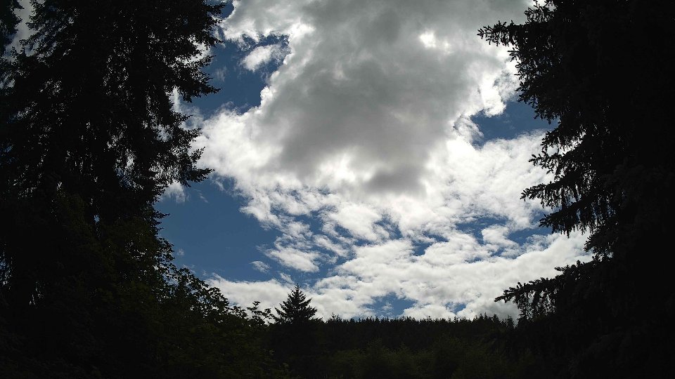Pacific Northwest skyline timelapse frame from Jun 10th, 2026 at 3:30 PM