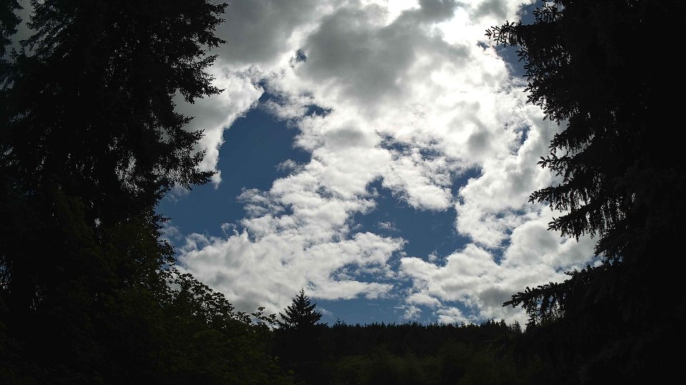 Pacific Northwest skyline timelapse frame from Jun 10th, 2026 at 3:45 PM