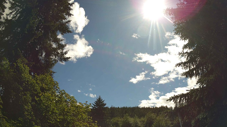 Pacific Northwest skyline timelapse frame from Jun 10th, 2026 at 4:00 PM