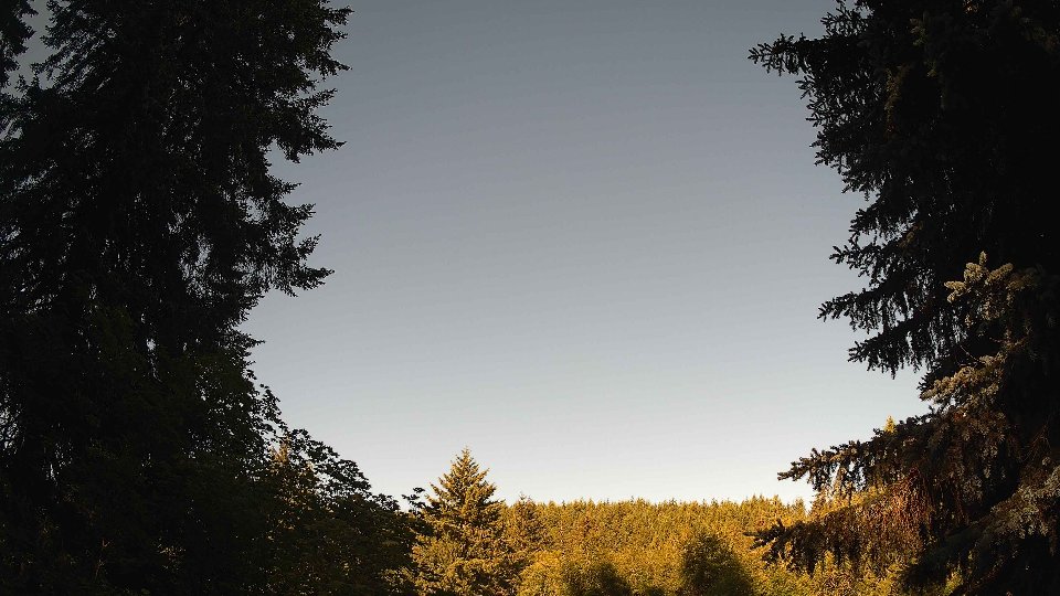 Pacific Northwest skyline timelapse frame from Jun 11th, 2026 at 8:00 AM