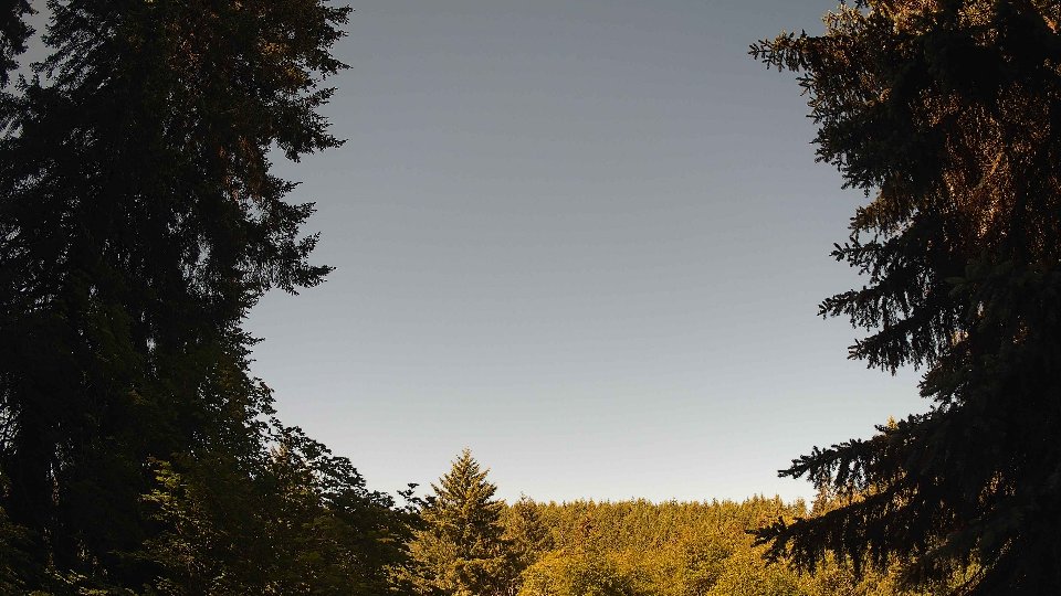 Pacific Northwest skyline timelapse frame from Jun 11th, 2026 at 9:30 AM