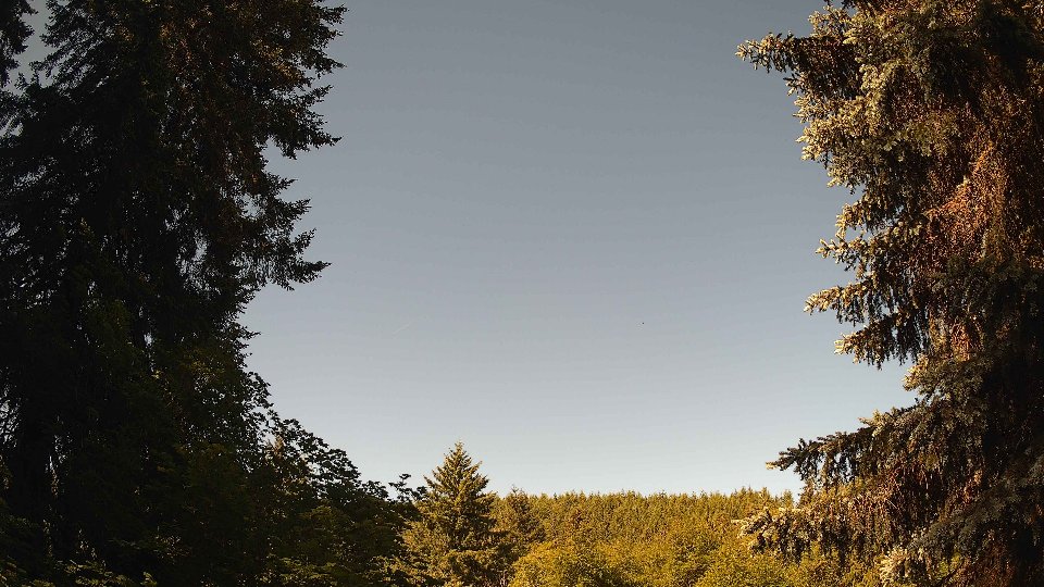 Pacific Northwest skyline timelapse frame from Jun 11th, 2026 at 9:45 AM