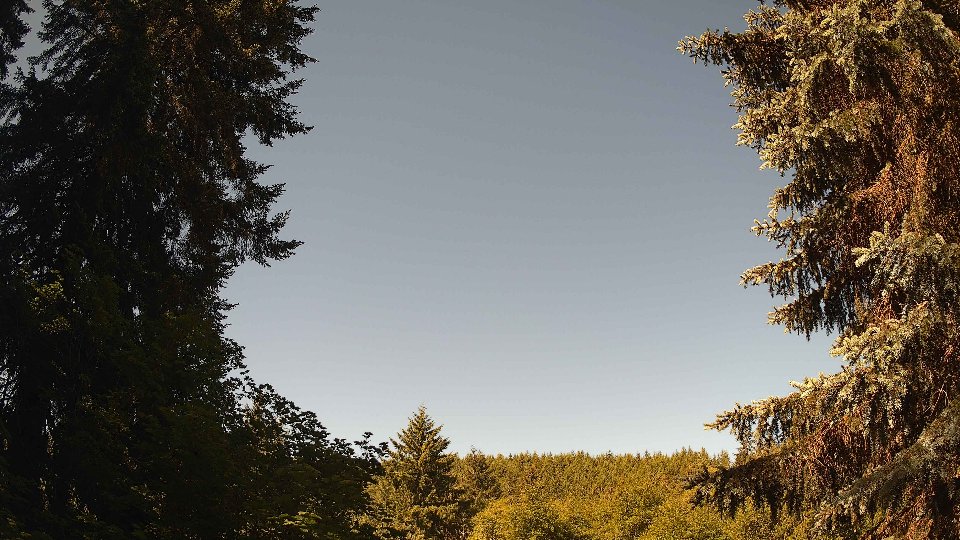 Pacific Northwest skyline timelapse frame from Jun 11th, 2026 at 10:00 AM