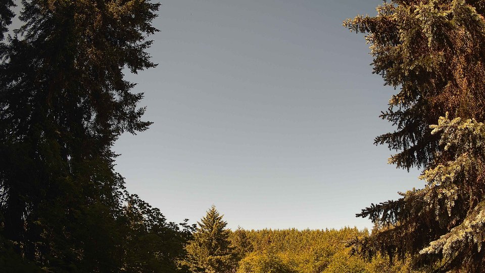 Pacific Northwest skyline timelapse frame from Jun 11th, 2026 at 10:15 AM