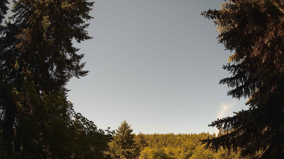 Pacific Northwest skyline timelapse frame from Jun 11th, 2026 at 11:00 AM