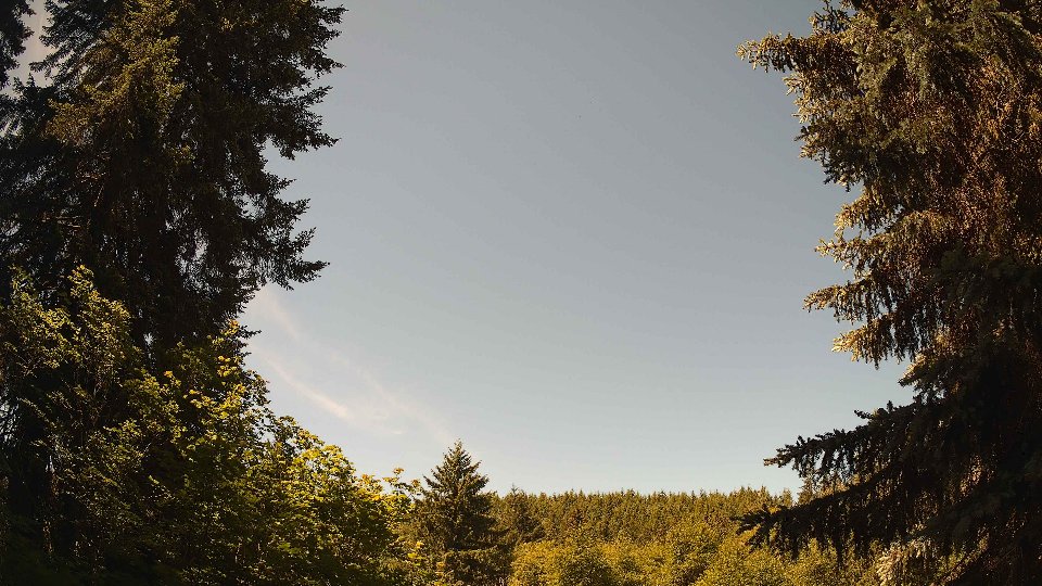 Pacific Northwest skyline timelapse frame from Jun 11th, 2026 at 11:30 AM