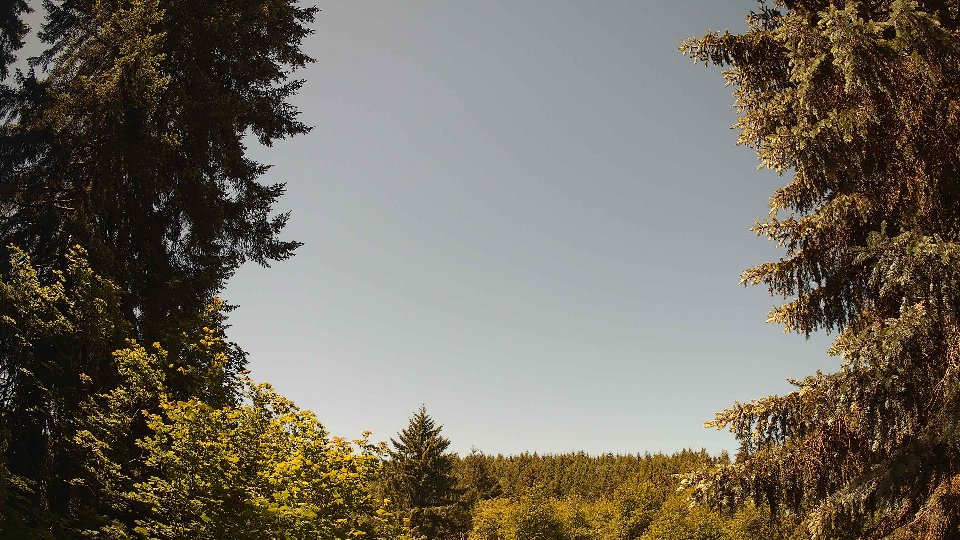 Pacific Northwest skyline timelapse frame from Jun 11th, 2026 at 11:45 AM