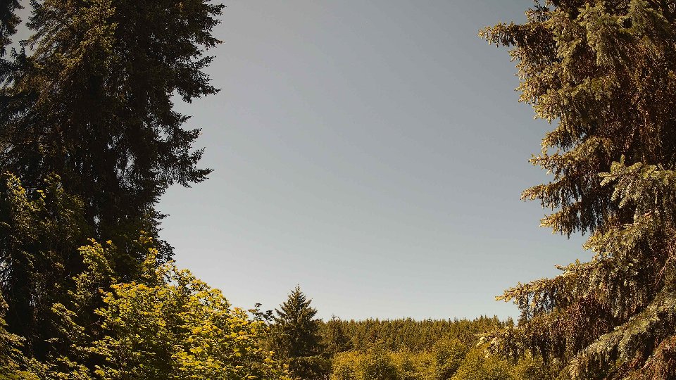 Pacific Northwest skyline timelapse frame from Jun 11th, 2026 at 12:00 PM