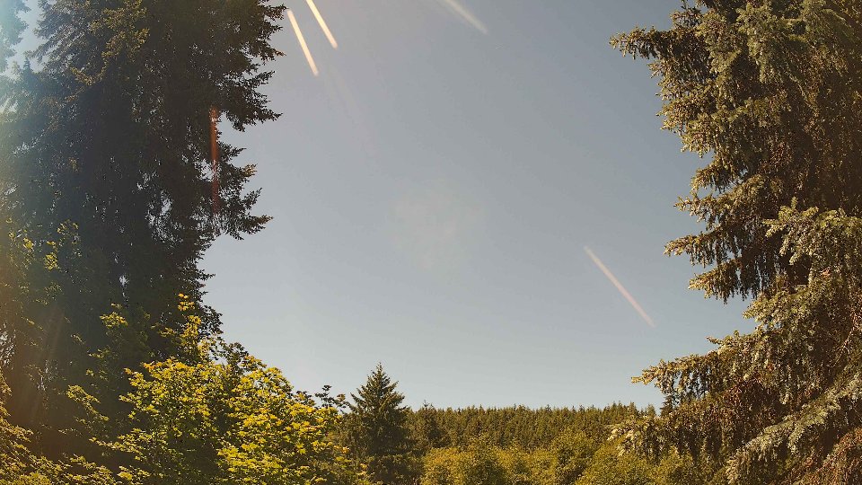 Pacific Northwest skyline timelapse frame from Jun 11th, 2026 at 12:15 PM