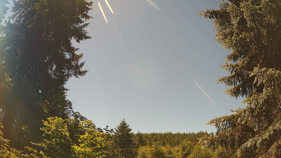 Pacific Northwest skyline timelapse frame from Jun 11th, 2026 at 12:30 PM