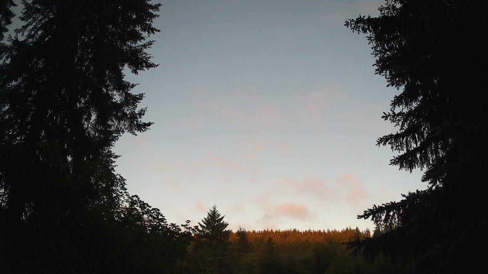 Pacific Northwest skyline timelapse frame from Jun 12th, 2026 at 5:30 AM