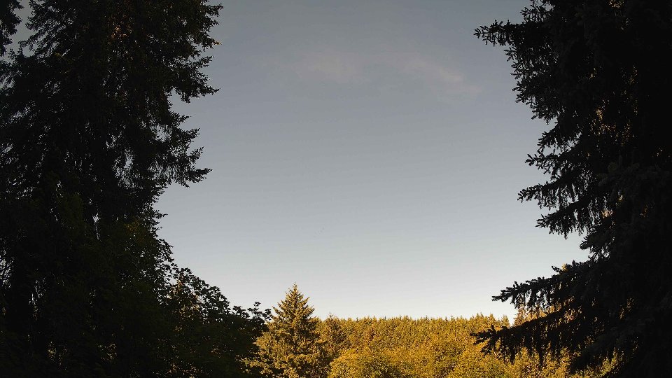 Pacific Northwest skyline timelapse frame from Jun 12th, 2026 at 9:00 AM