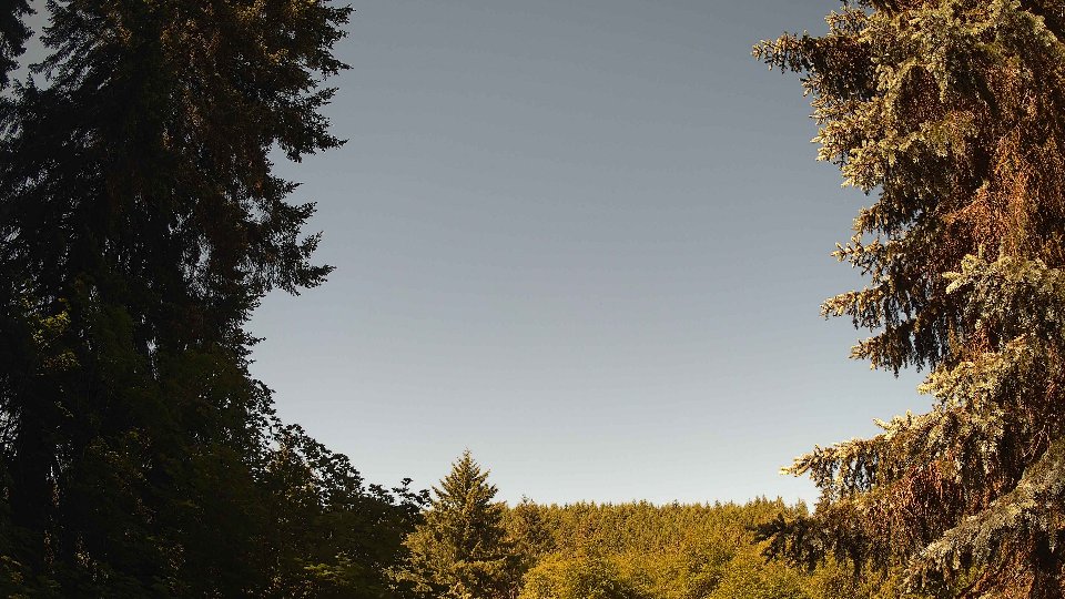Pacific Northwest skyline timelapse frame from Jun 12th, 2026 at 10:00 AM