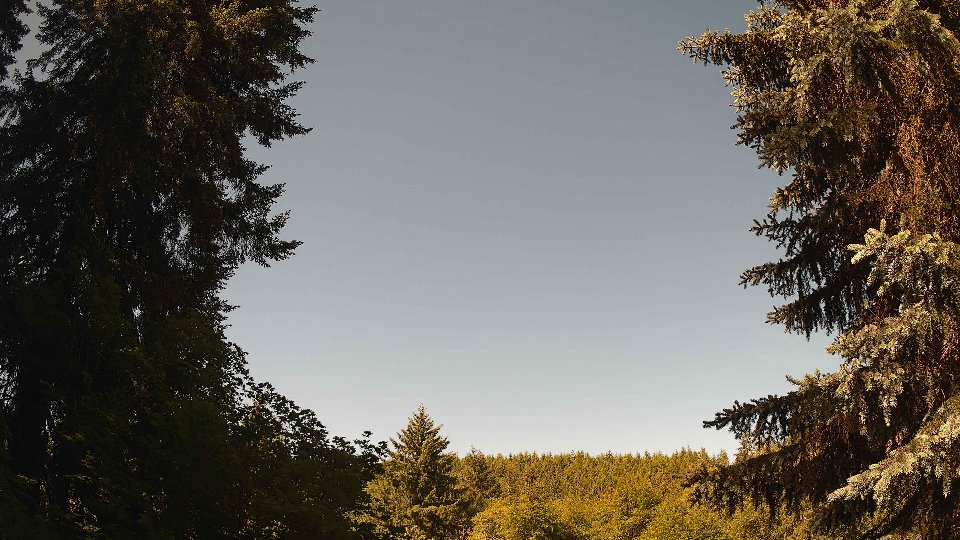 Pacific Northwest skyline timelapse frame from Jun 12th, 2026 at 10:15 AM