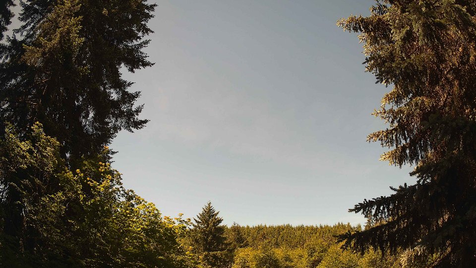 Pacific Northwest skyline timelapse frame from Jun 12th, 2026 at 11:30 AM