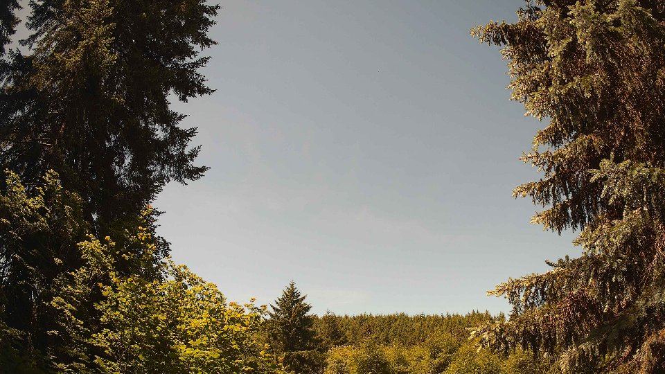 Pacific Northwest skyline timelapse frame from Jun 12th, 2026 at 11:45 AM