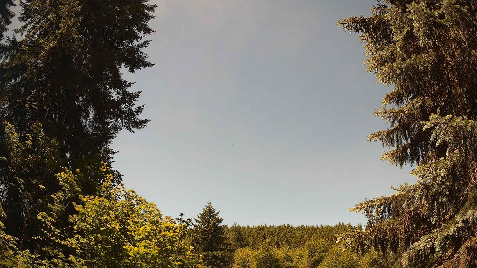 Pacific Northwest skyline timelapse frame from Jun 12th, 2026 at 12:00 PM