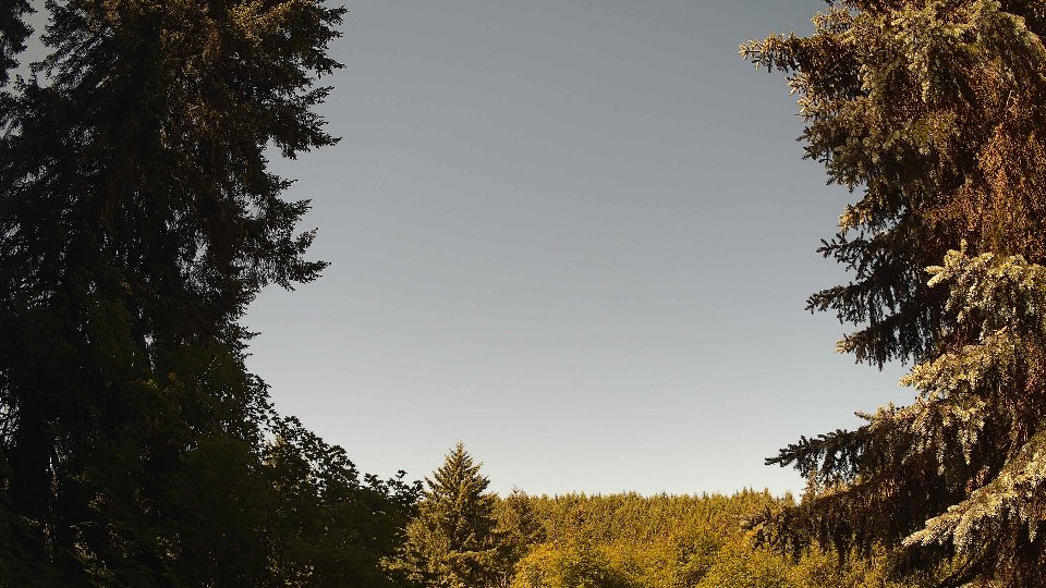 Pacific Northwest skyline timelapse on Jun 13, 2026 at 10:15 AM