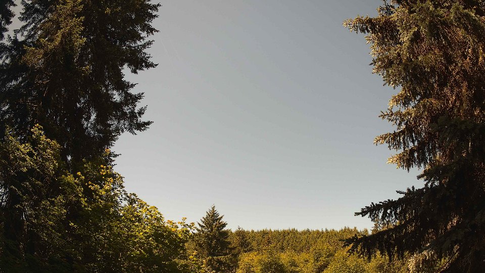 Pacific Northwest skyline timelapse on Jun 13, 2026 at 11:30 AM