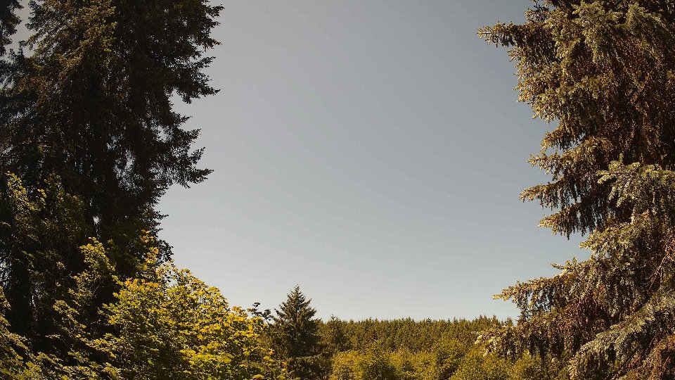 Pacific Northwest skyline timelapse on Jun 13, 2026 at 12:00 PM