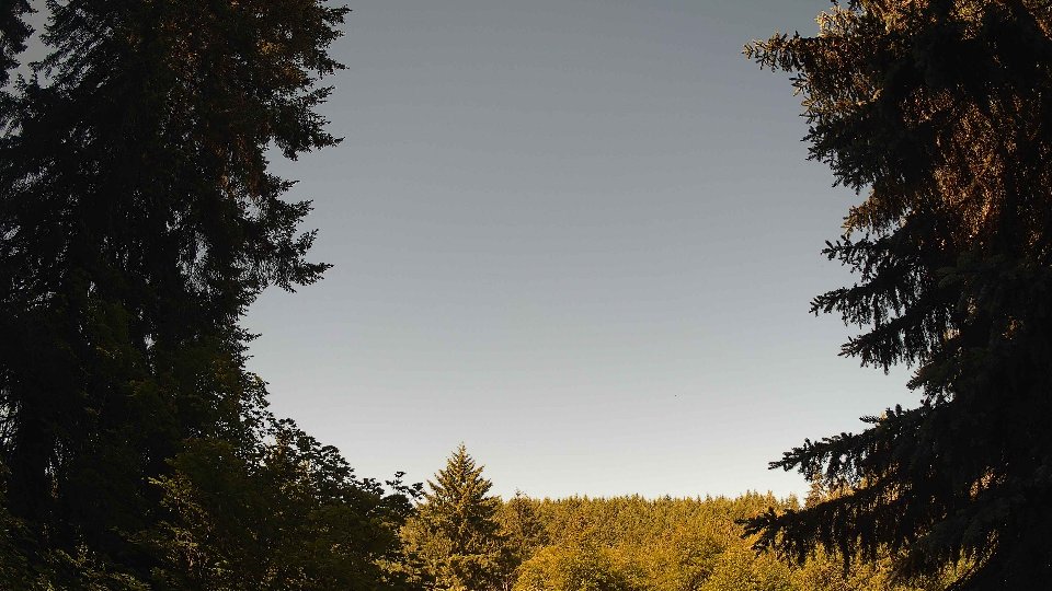 Pacific Northwest skyline timelapse on Jun 14, 2026 at 9:30 AM