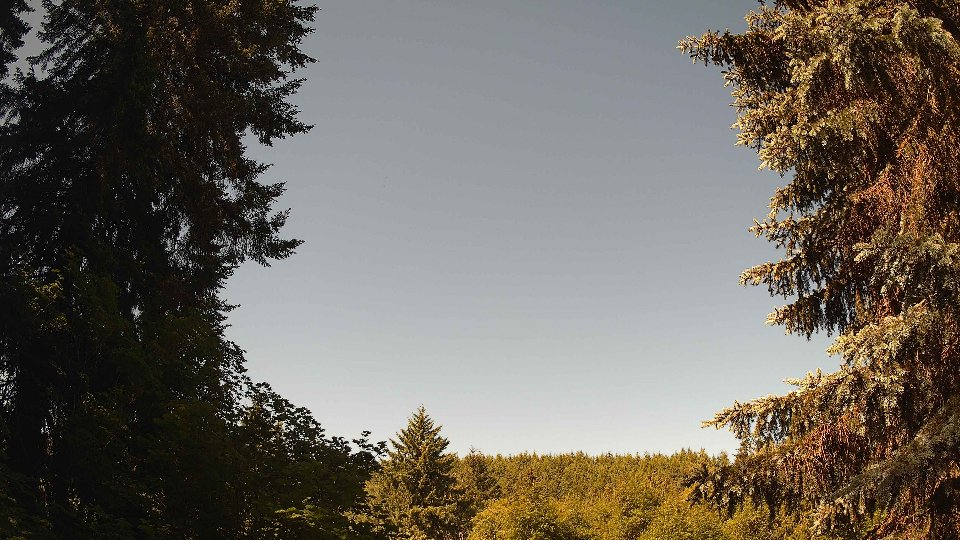 Pacific Northwest skyline timelapse on Jun 14, 2026 at 10:00 AM