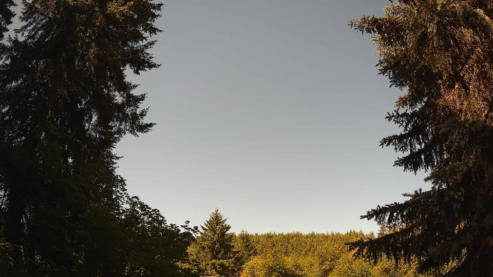 Pacific Northwest skyline timelapse on Jun 14, 2026 at 10:30 AM