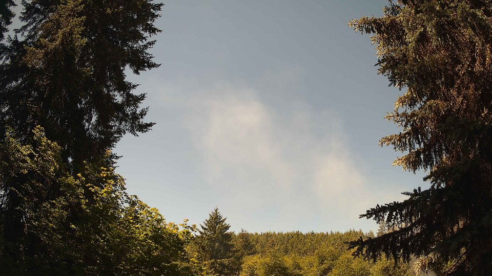 Pacific Northwest skyline timelapse on Jun 14, 2026 at 11:30 AM