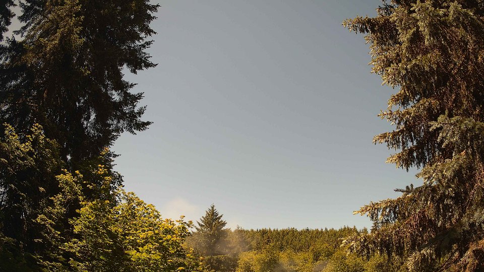 Pacific Northwest skyline timelapse on Jun 14, 2026 at 11:45 AM