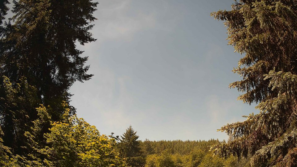 Pacific Northwest skyline timelapse on Jun 14, 2026 at 12:00 PM
