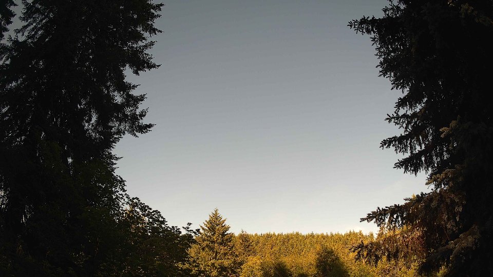 Pacific Northwest skyline timelapse frame from Jun 15th, 2026 at 8:00 AM