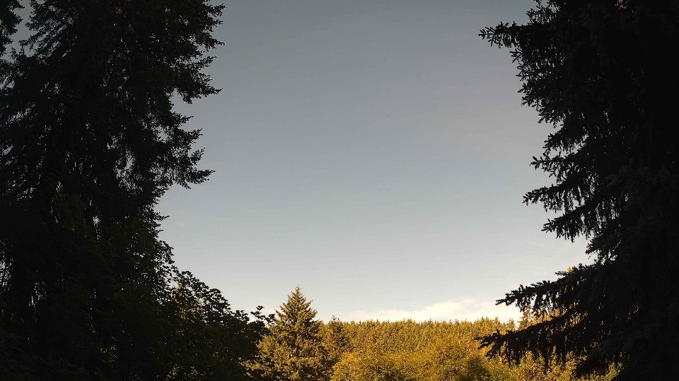 Pacific Northwest skyline timelapse frame from Jun 15th, 2026 at 8:30 AM