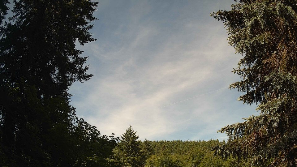 Pacific Northwest skyline timelapse frame from Jun 15th, 2026 at 10:00 AM