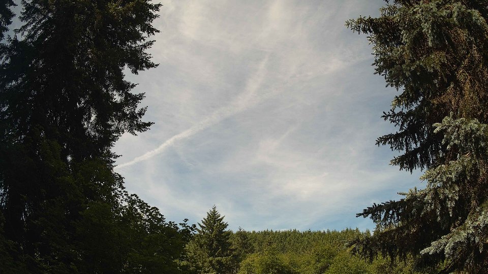 Pacific Northwest skyline timelapse frame from Jun 15th, 2026 at 10:15 AM