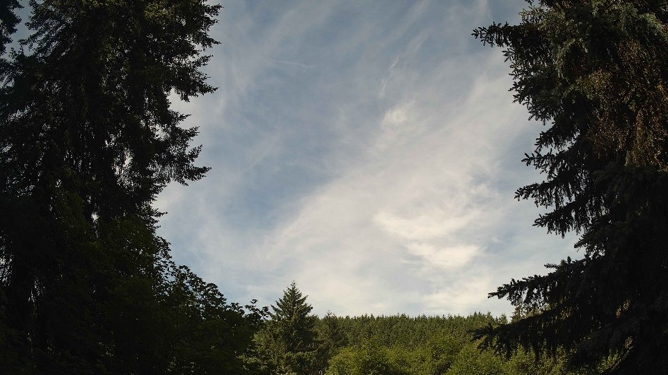 Pacific Northwest skyline timelapse frame from Jun 15th, 2026 at 10:45 AM