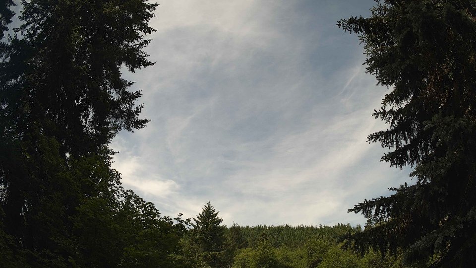 Pacific Northwest skyline timelapse frame from Jun 15th, 2026 at 11:00 AM