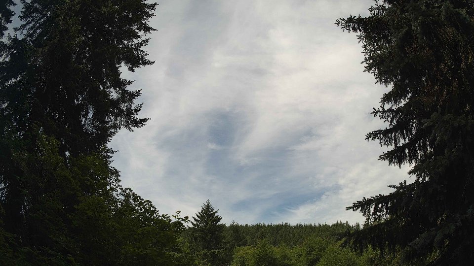 Pacific Northwest skyline timelapse frame from Jun 15th, 2026 at 11:15 AM