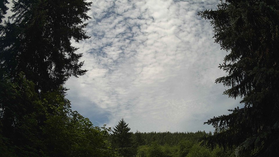 Pacific Northwest skyline timelapse frame from Jun 15th, 2026 at 11:30 AM
