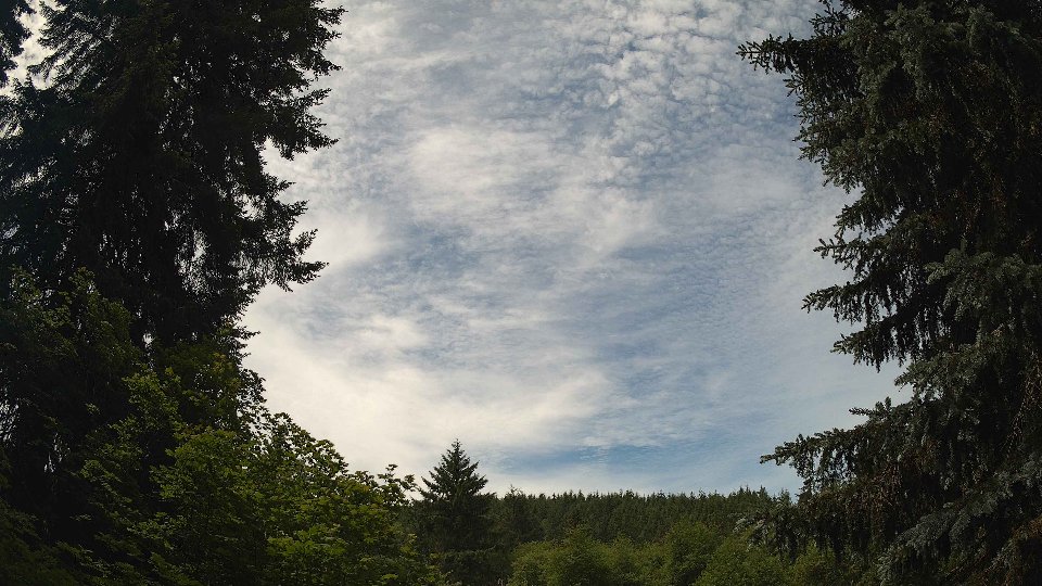 Pacific Northwest skyline timelapse frame from Jun 15th, 2026 at 11:45 AM