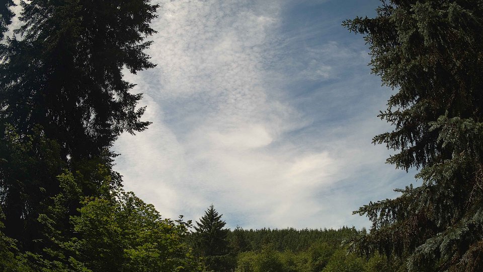 Pacific Northwest skyline timelapse frame from Jun 15th, 2026 at 12:00 PM